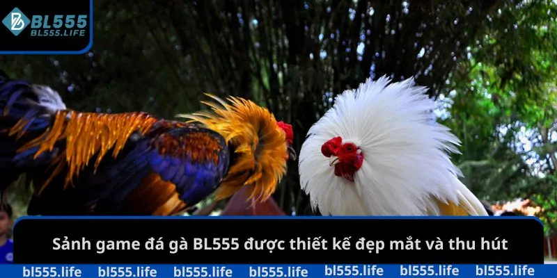 Đá Gà BL555 2 Sảnh game đá gà BL555 được thiết kế đẹp mắt và thu hút